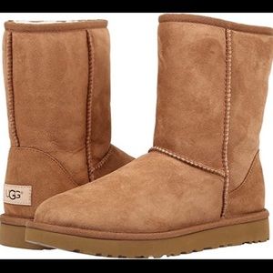Classic UGG Caramel Color Short
